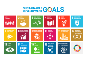 SDGS Goals